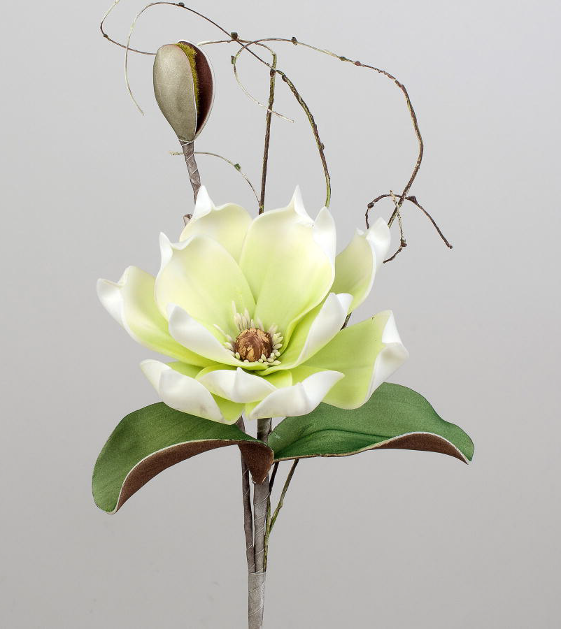 Formano Deko-Zweig Magnolie grün-weiss, mit cm, Vielfalt und Knospe Schaumstoff 42 großer | Blüte, Deko aus Blättern
